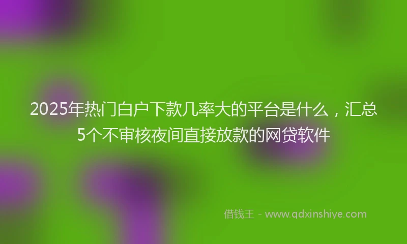 2025年热门白户下款几率大的平台是什么，汇总5个不审核夜间直接放款的网贷软件