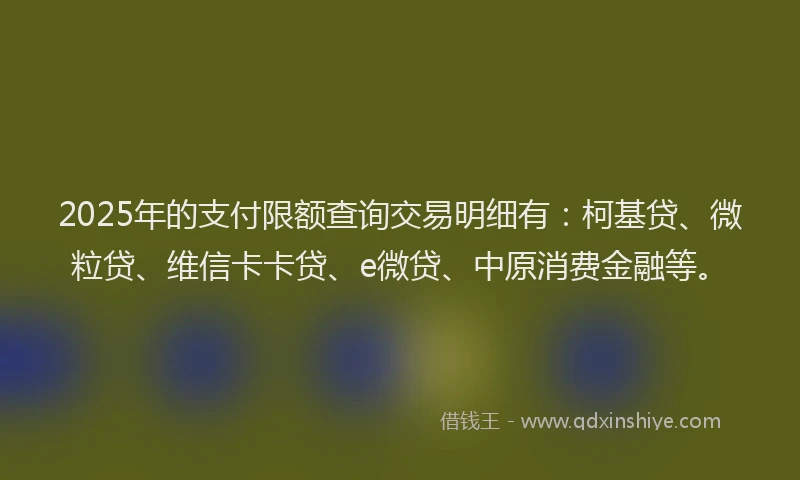 2025年的支付限额查询交易明细有：柯基贷、微粒贷、维信卡卡贷、e微贷、中原消费金融等。