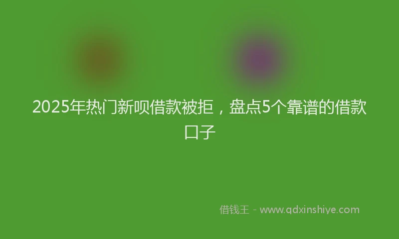 2025年热门新呗借款被拒，盘点5个靠谱的借款口子