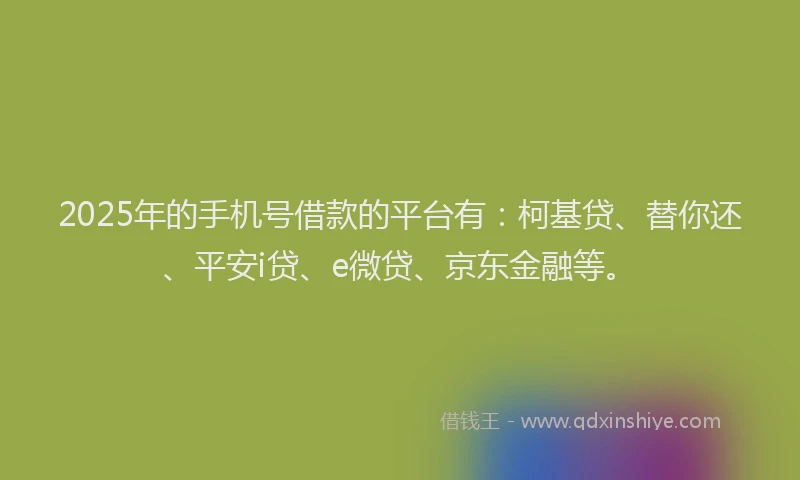2025年的手机号借款的平台有：柯基贷、替你还、平安i贷、e微贷、京东金融等。