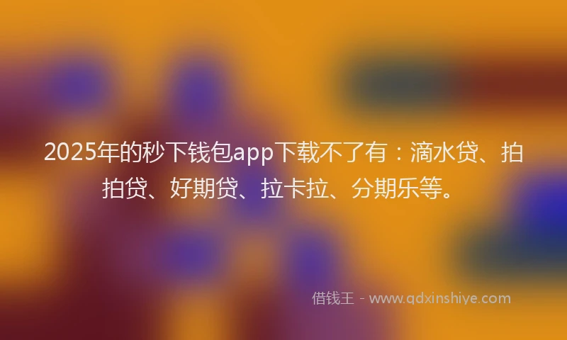 2025年的秒下钱包app下载不了有：滴水贷、拍拍贷、好期贷、拉卡拉、分期乐等。
