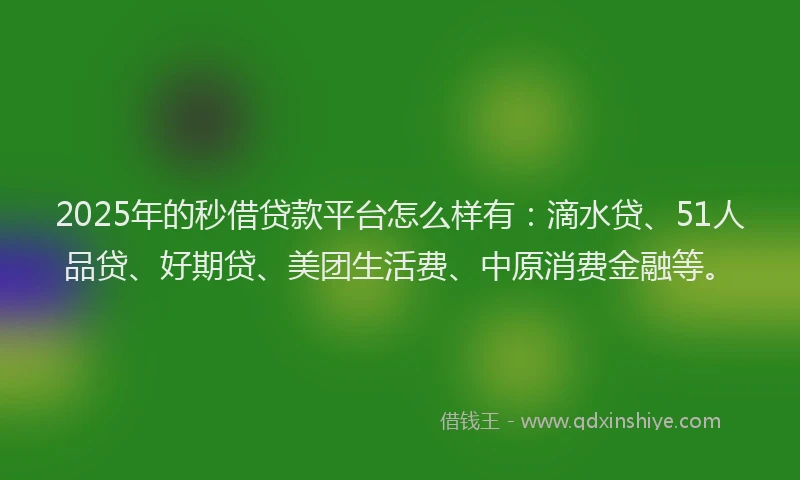 2025年的秒借贷款平台怎么样有：滴水贷、51人品贷、好期贷、美团生活费、中原消费金融等。