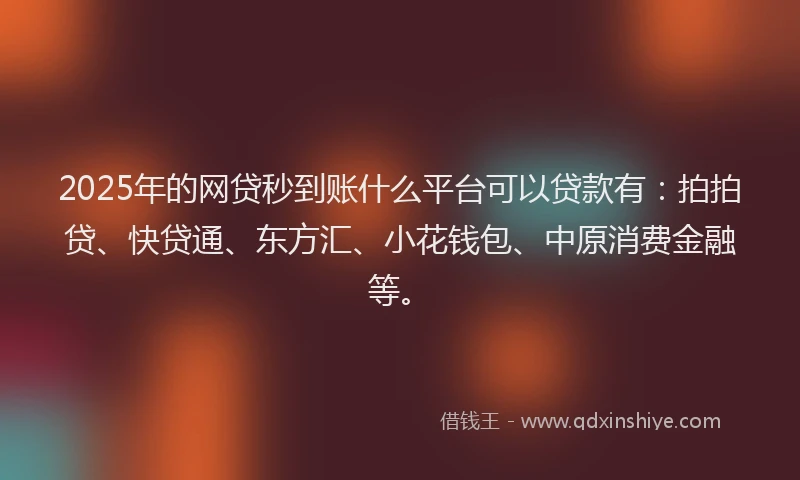 2025年的网贷秒到账什么平台可以贷款有：拍拍贷、快贷通、东方汇、小花钱包、中原消费金融等。