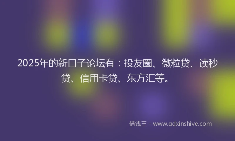 2025年的新口子论坛有：投友圈、微粒贷、读秒贷、信用卡贷、东方汇等。