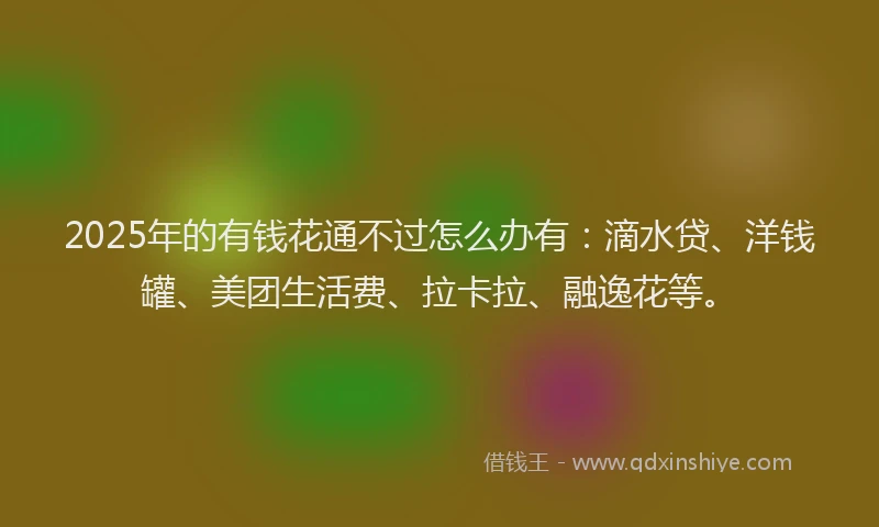 2025年的有钱花通不过怎么办有：滴水贷、洋钱罐、美团生活费、拉卡拉、融逸花等。