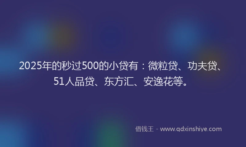 2025年的秒过500的小贷有：微粒贷、功夫贷、51人品贷、东方汇、安逸花等。