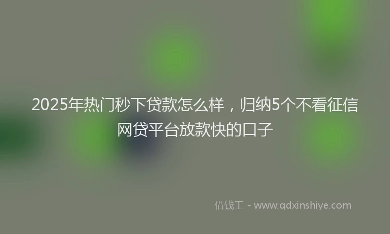 2025年热门秒下贷款怎么样，归纳5个不看征信网贷平台放款快的口子