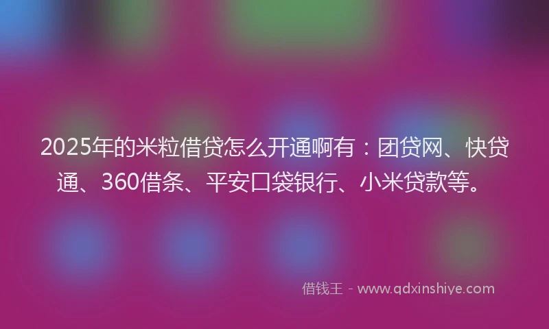 2025年的米粒借贷怎么开通啊有：团贷网、快贷通、360借条、平安口袋银行、小米贷款等。