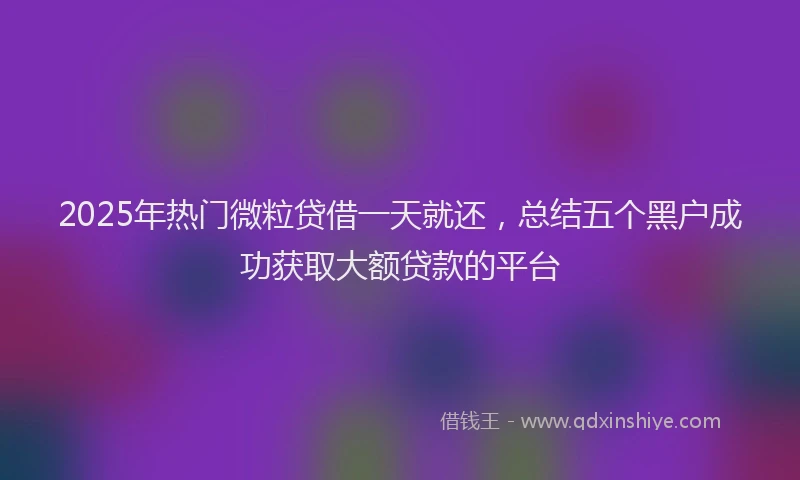 2025年热门微粒贷借一天就还，总结五个黑户成功获取大额贷款的平台