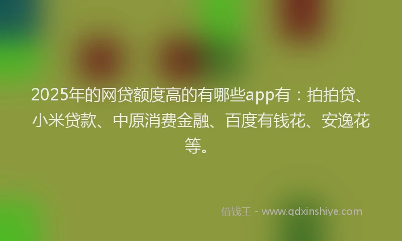 2025年的网贷额度高的有哪些app有：拍拍贷、小米贷款、中原消费金融、百度有钱花、安逸花等。