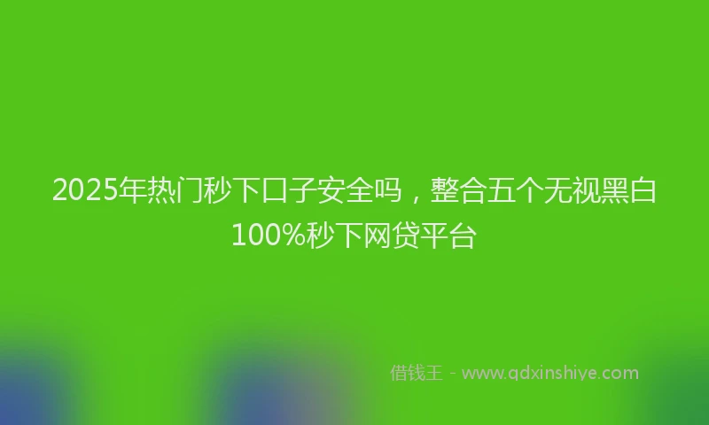 2025年热门秒下口子安全吗，整合五个无视黑白100%秒下网贷平台