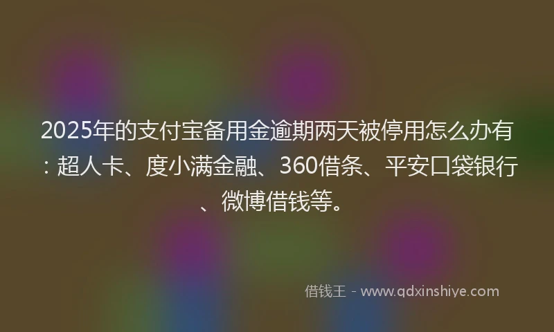 2025年的支付宝备用金逾期两天被停用怎么办有：超人卡、度小满金融、360借条、平安口袋银行、微博借钱等。