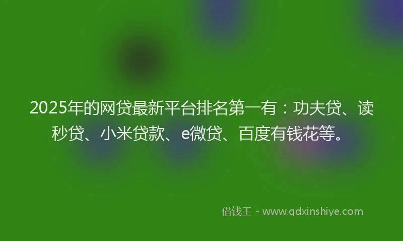 2025年的网贷最新平台排名第一有：功夫贷、读秒贷、小米贷款、e微贷、百度有钱花等。