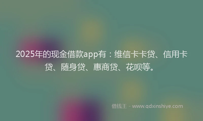 2025年的现金借款app有：维信卡卡贷、信用卡贷、随身贷、惠商贷、花呗等。