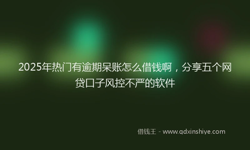 2025年热门有逾期呆账怎么借钱啊，分享五个网贷口子风控不严的软件