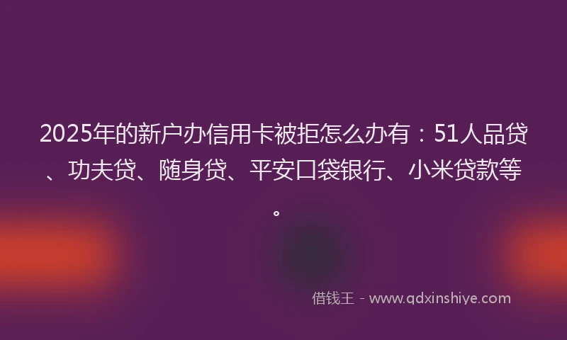 2025年的新户办信用卡被拒怎么办有：51人品贷、功夫贷、随身贷、平安口袋银行、小米贷款等。