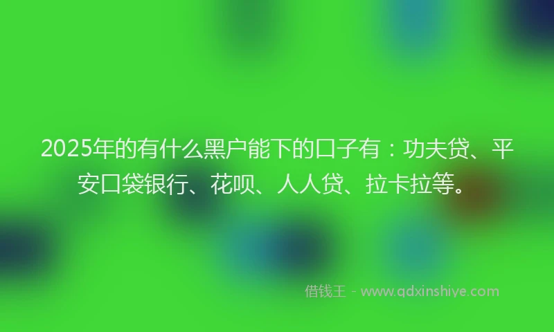 2025年的有什么黑户能下的口子有：功夫贷、平安口袋银行、花呗、人人贷、拉卡拉等。