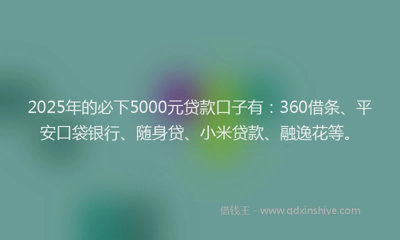 2025年的必下5000元贷款口子有：360借条、平安口袋银行、随身贷、小米贷款、融逸花等。
