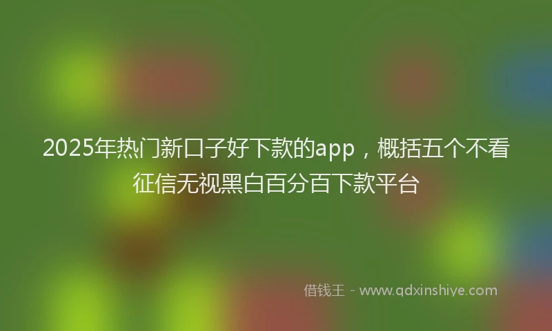 2025年热门新口子好下款的app，概括五个不看征信无视黑白百分百下款平台