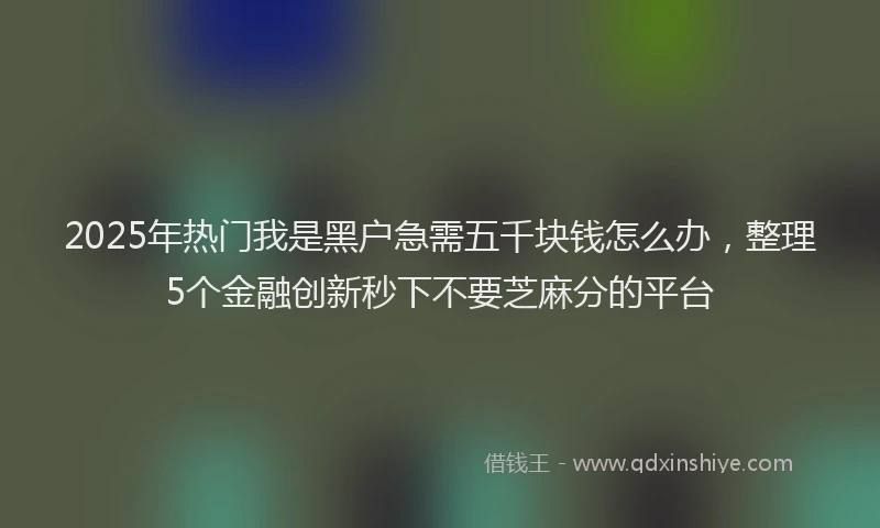 2025年热门我是黑户急需五千块钱怎么办，整理5个金融创新秒下不要芝麻分的平台