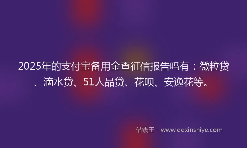 2025年的支付宝备用金查征信报告吗有：微粒贷、滴水贷、51人品贷、花呗、安逸花等。