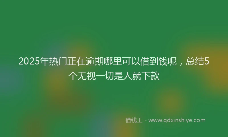 2025年热门正在逾期哪里可以借到钱呢，总结5个无视一切是人就下款