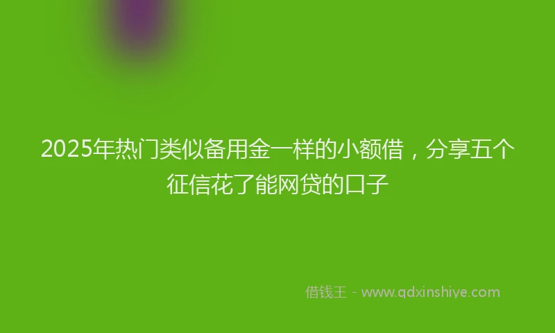 2025年热门类似备用金一样的小额借，分享五个征信花了能网贷的口子