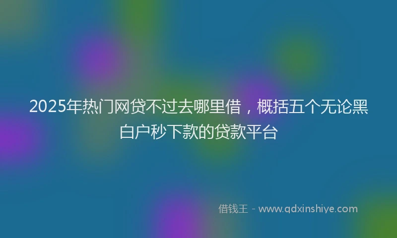 2025年热门网贷不过去哪里借，概括五个无论黑白户秒下款的贷款平台