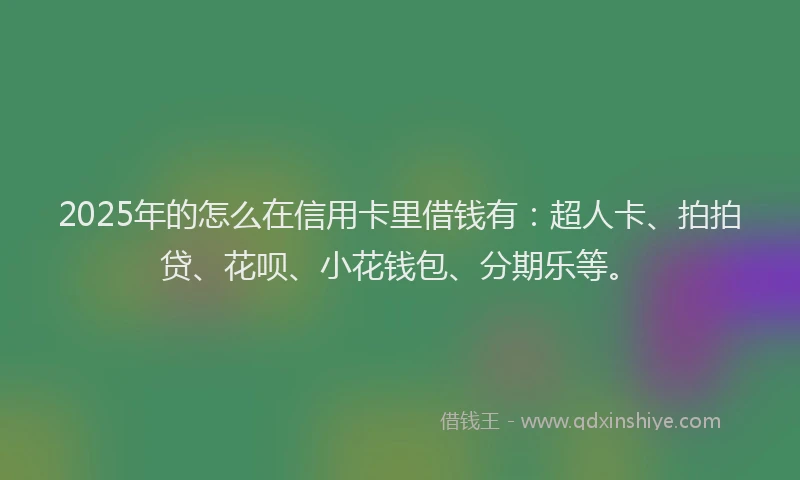 2025年的怎么在信用卡里借钱有：超人卡、拍拍贷、花呗、小花钱包、分期乐等。