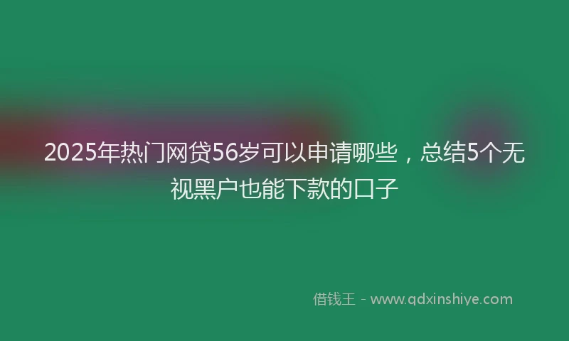 2025年热门网贷56岁可以申请哪些，总结5个无视黑户也能下款的口子