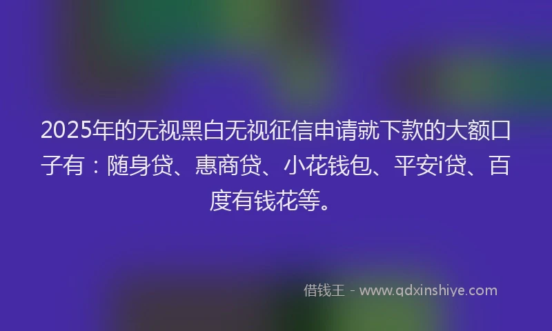 2025年的无视黑白无视征信申请就下款的大额口子有：随身贷、惠商贷、小花钱包、平安i贷、百度有钱花等。