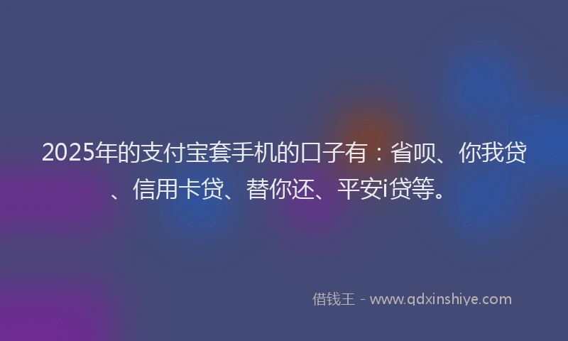 2025年的支付宝套手机的口子有：省呗、你我贷、信用卡贷、替你还、平安i贷等。