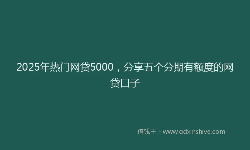 2025年热门网贷5000，分享五个分期有额度的网贷口子
