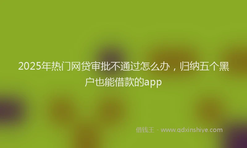 2025年热门网贷审批不通过怎么办，归纳五个黑户也能借款的app