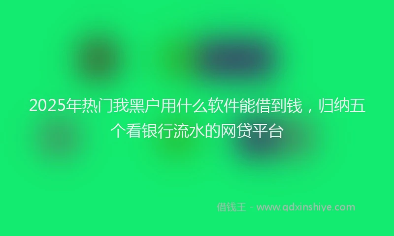 2025年热门我黑户用什么软件能借到钱，归纳五个看银行流水的网贷平台