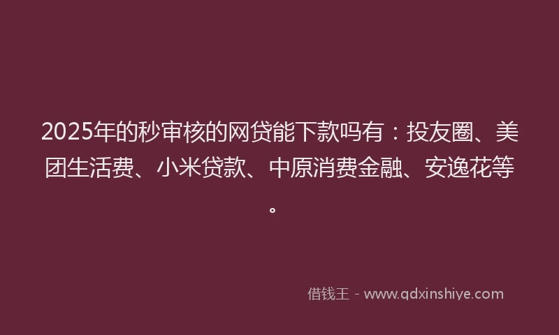 2025年的秒审核的网贷能下款吗有：投友圈、美团生活费、小米贷款、中原消费金融、安逸花等。