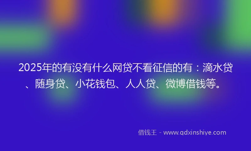 2025年的有没有什么网贷不看征信的有：滴水贷、随身贷、小花钱包、人人贷、微博借钱等。