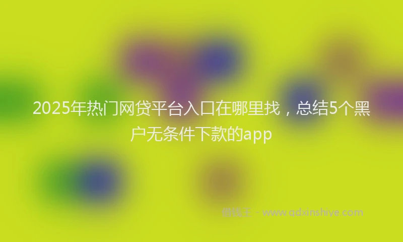 2025年热门网贷平台入口在哪里找，总结5个黑户无条件下款的app