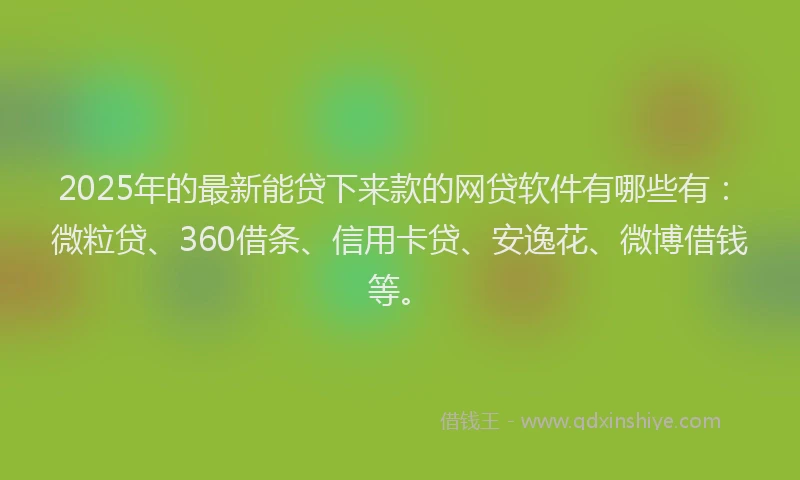 2025年的最新能贷下来款的网贷软件有哪些有：微粒贷、360借条、信用卡贷、安逸花、微博借钱等。