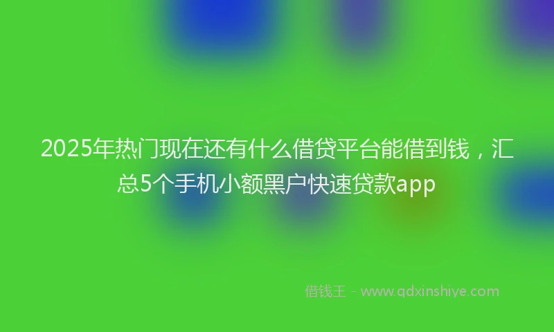 2025年热门现在还有什么借贷平台能借到钱，汇总5个手机小额黑户快速贷款app