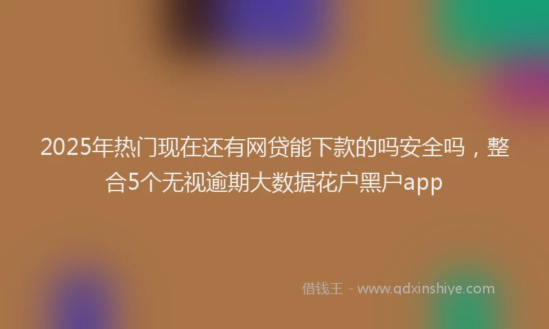2025年热门现在还有网贷能下款的吗安全吗，整合5个无视逾期大数据花户黑户app