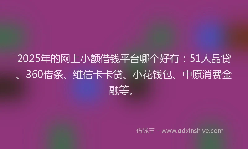 2025年的网上小额借钱平台哪个好有：51人品贷、360借条、维信卡卡贷、小花钱包、中原消费金融等。