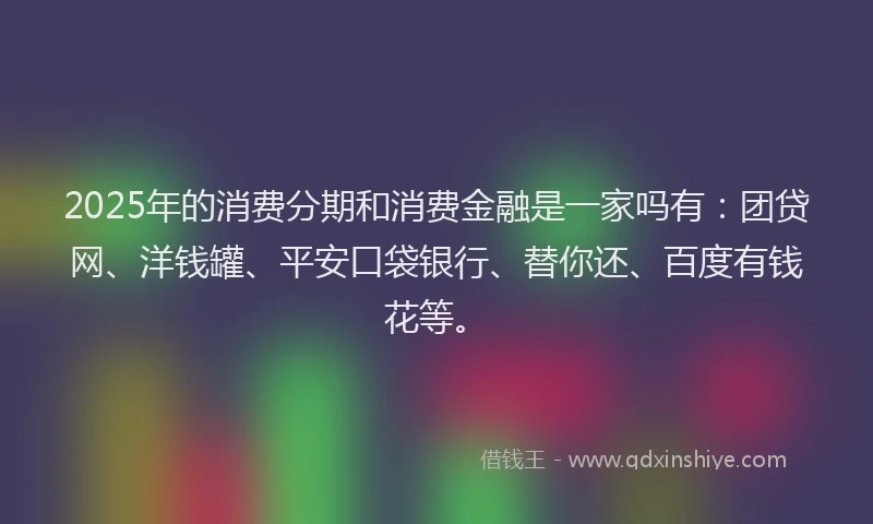 2025年的消费分期和消费金融是一家吗有：团贷网、洋钱罐、平安口袋银行、替你还、百度有钱花等。