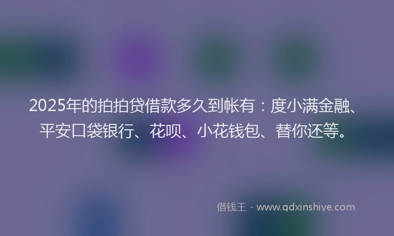 2025年的拍拍贷借款多久到帐有：度小满金融、平安口袋银行、花呗、小花钱包、替你还等。