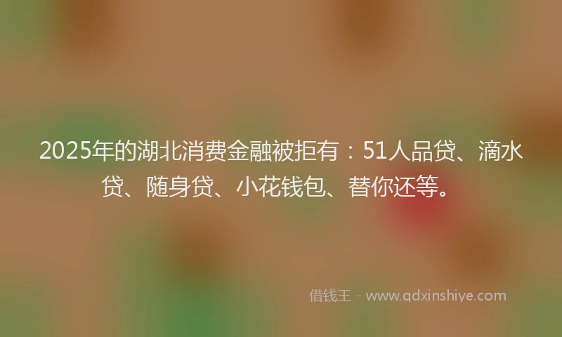 2025年的湖北消费金融被拒有：51人品贷、滴水贷、随身贷、小花钱包、替你还等。