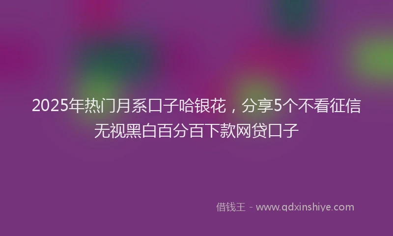 2025年热门月系口子哈银花，分享5个不看征信无视黑白百分百下款网贷口子