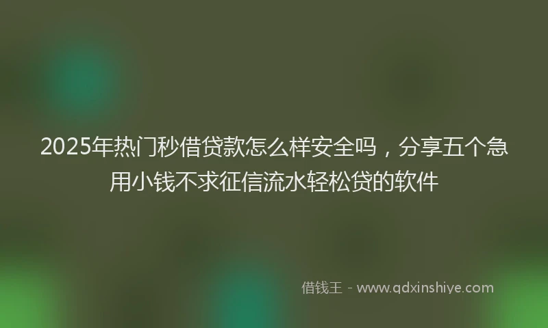 2025年热门秒借贷款怎么样安全吗，分享五个急用小钱不求征信流水轻松贷的软件