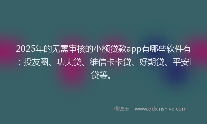 2025年的无需审核的小额贷款app有哪些软件有：投友圈、功夫贷、维信卡卡贷、好期贷、平安i贷等。