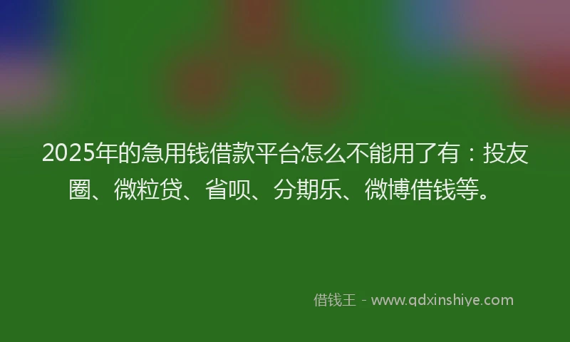 2025年的急用钱借款平台怎么不能用了有：投友圈、微粒贷、省呗、分期乐、微博借钱等。