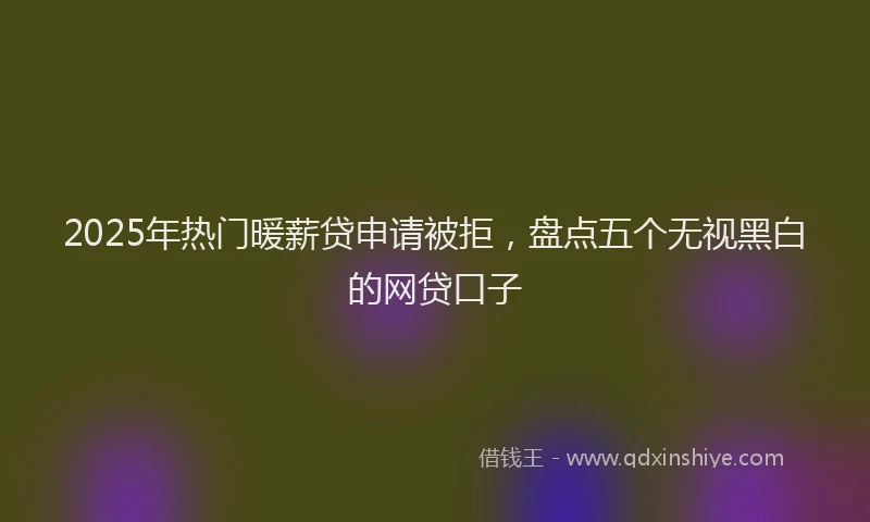 2025年热门暖薪贷申请被拒，盘点五个无视黑白的网贷口子